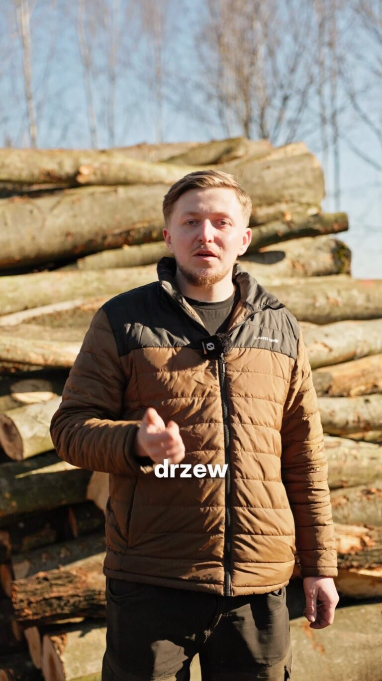 Timber Fuel reel: our work